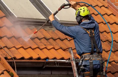 Démoussage et hydrofuge de toiture à Ségny